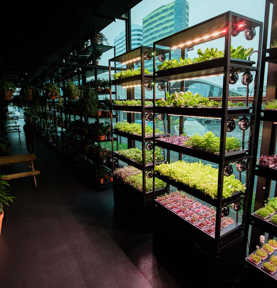 Vertical farm locals.jpg