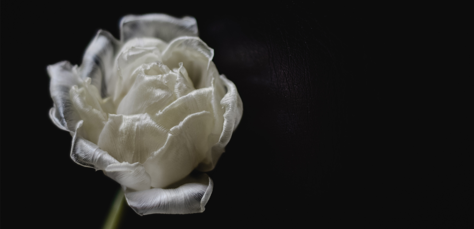 Condoleance - Hotel Haarhuis (header).jpg