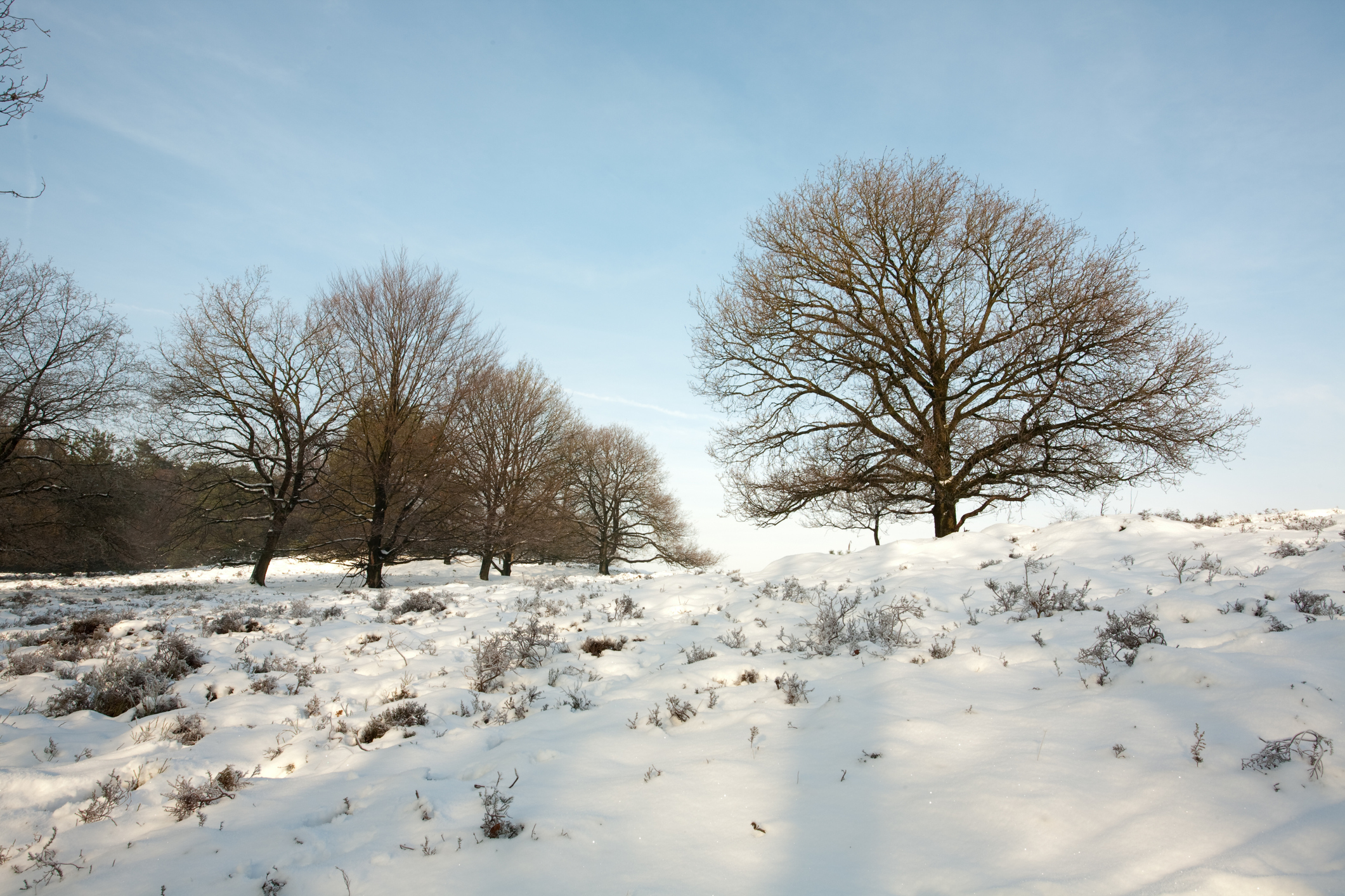 iStock-118689902.jpg
