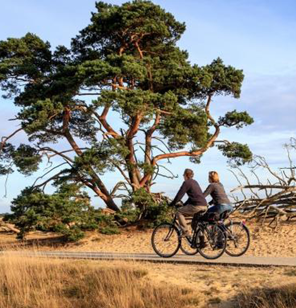 Fietsen Arnhem - Hotel Haarhuis.jpg