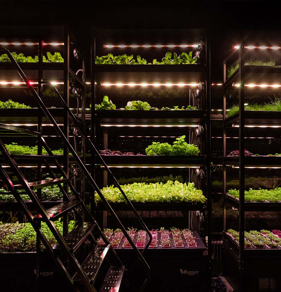 Vertical farm locals (2).jpg