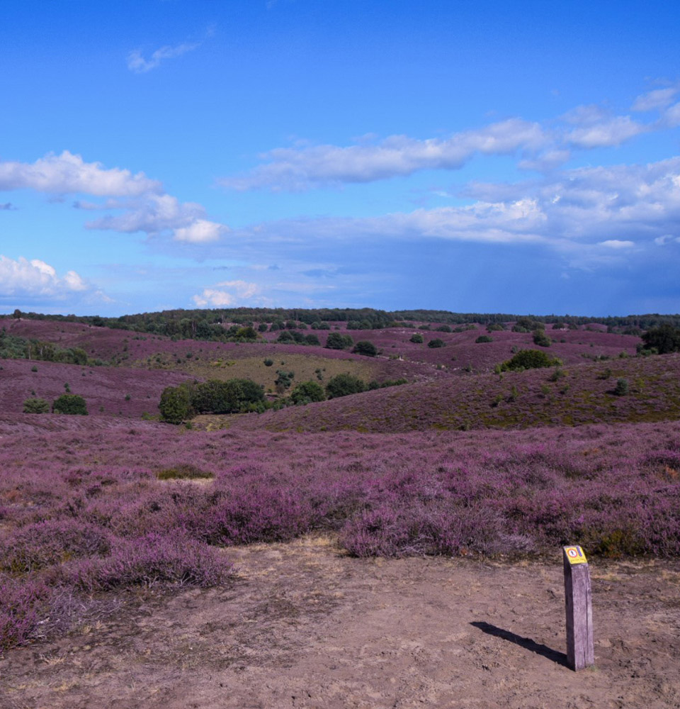 Wandelen Arnhem - Hotel Haarhuis (7).jpg