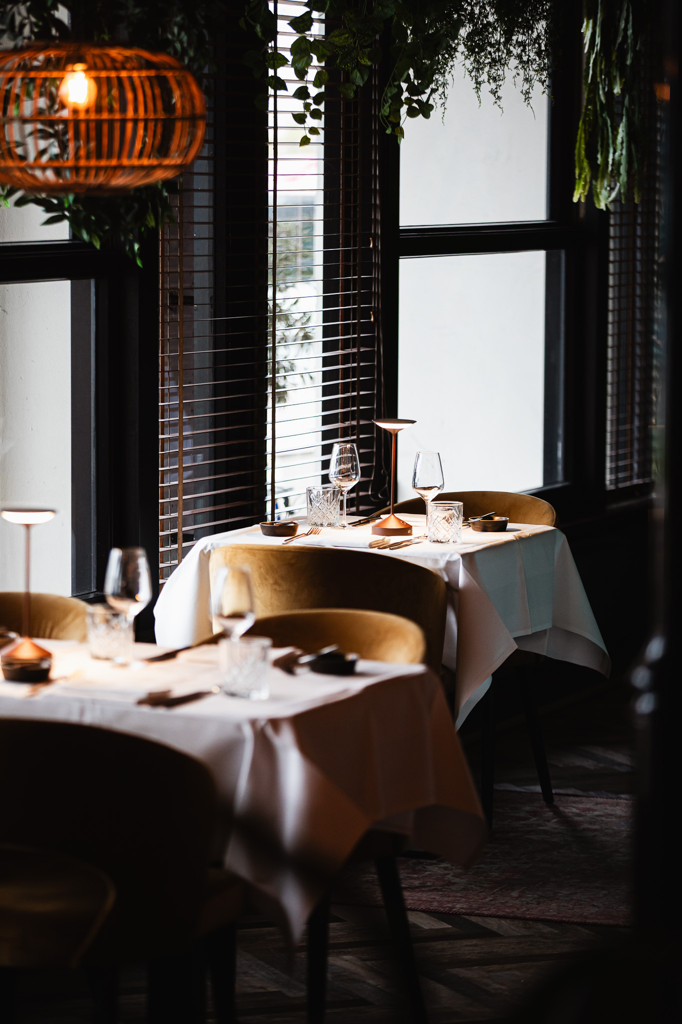 Locals Desert Bovenaf.jpg