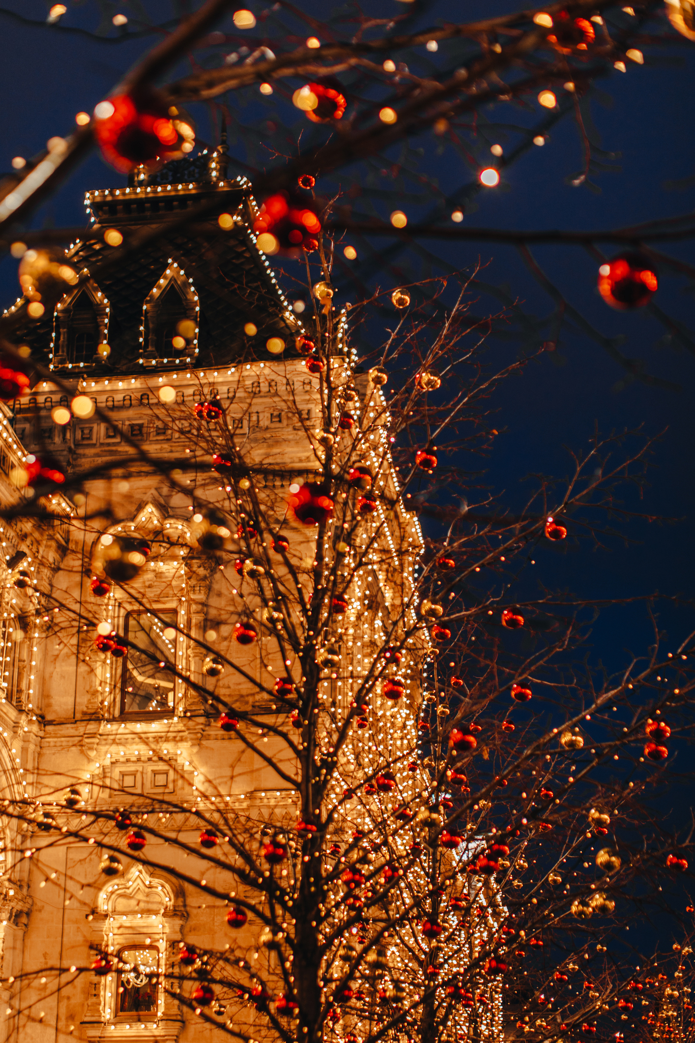 iStock-1744970849.jpg