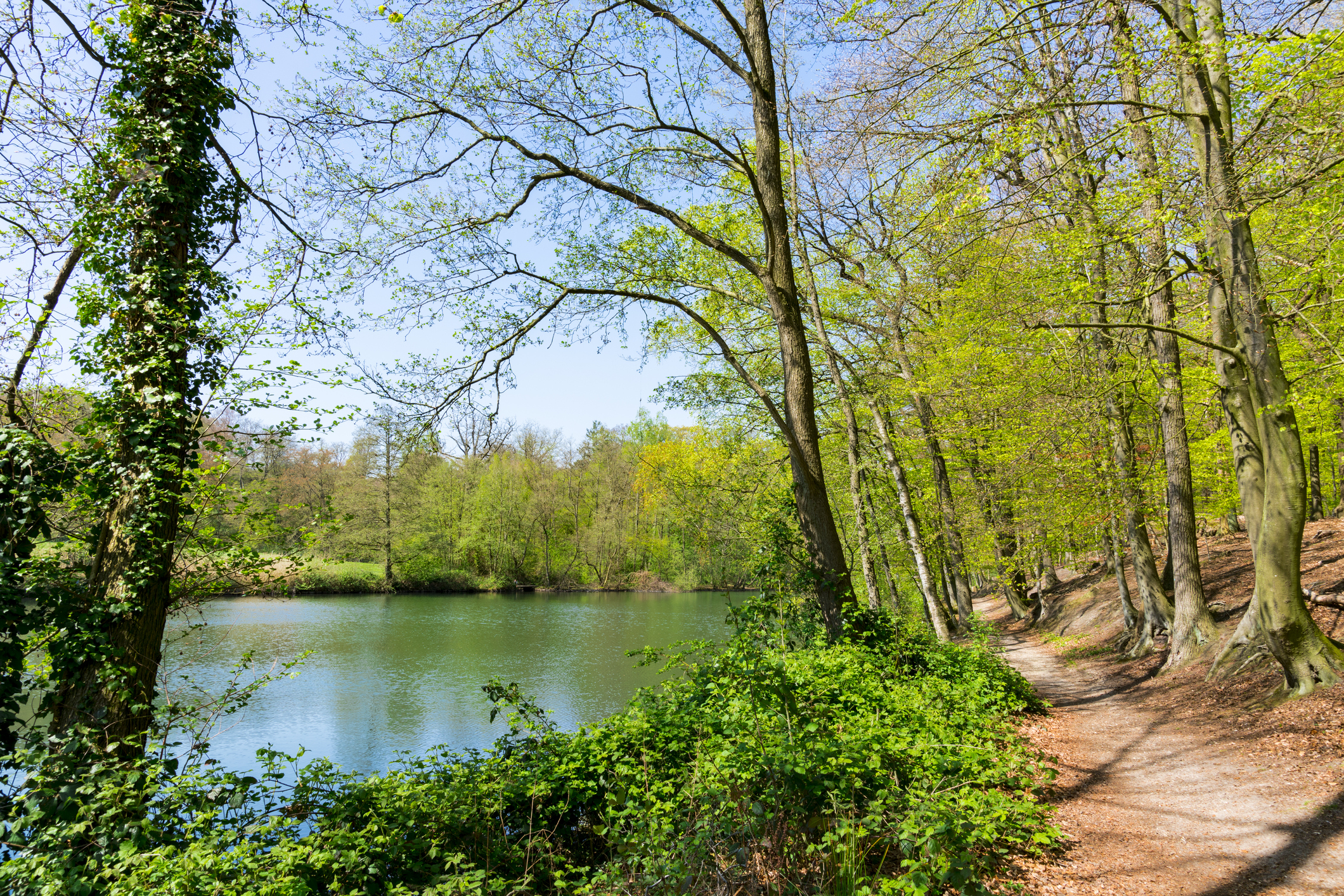 iStock-1164524969 sonsbeek.jpg